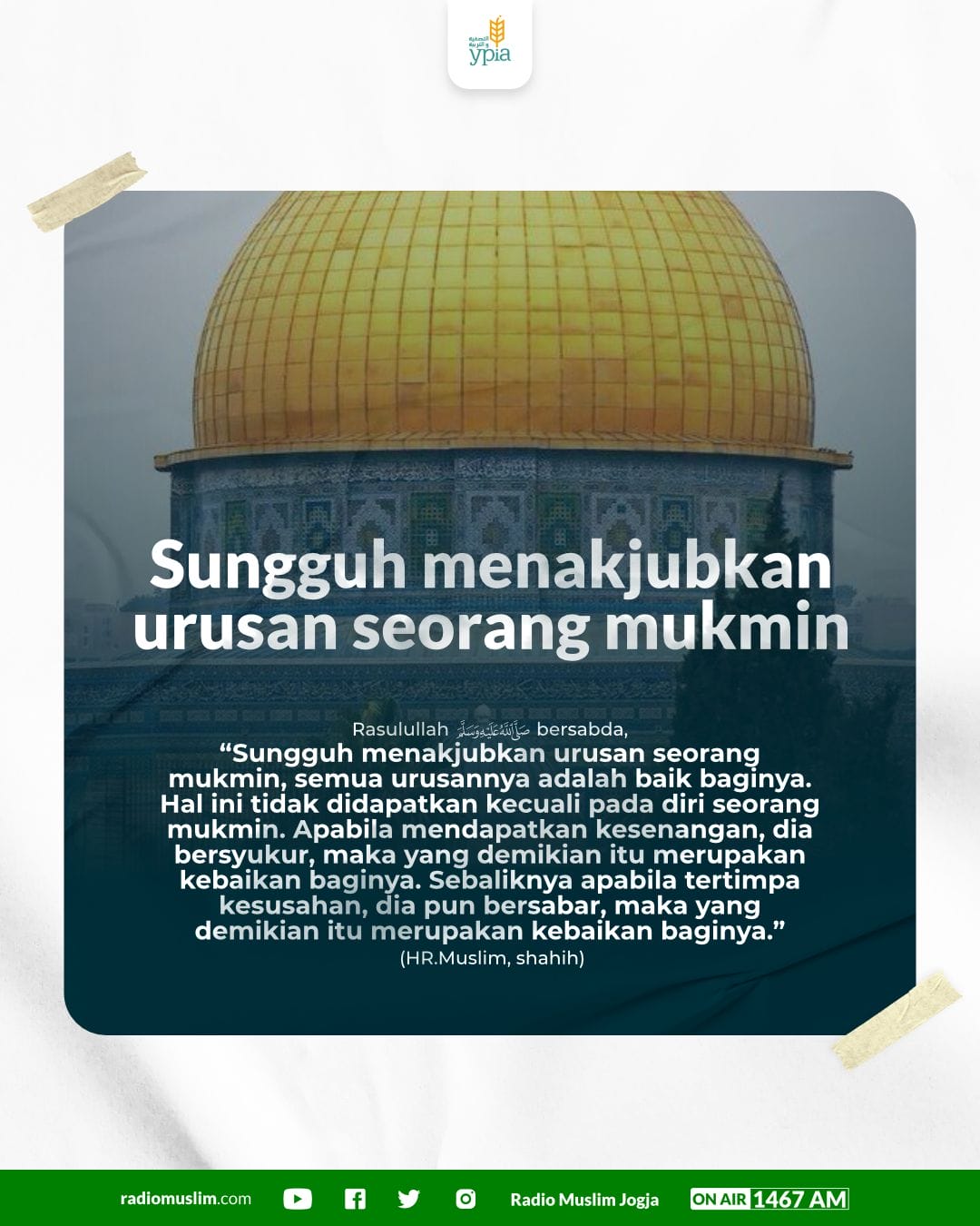 VKontakte gimnastikachilar haqida pornografik film